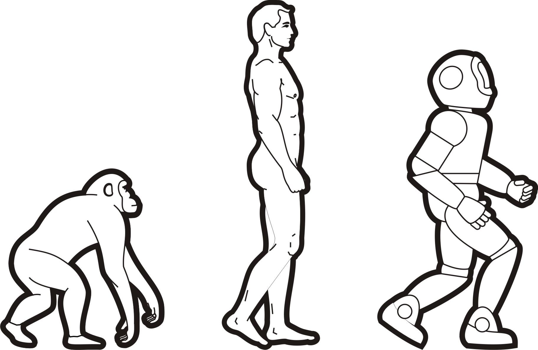 Evolución del hombre (ilustración) - Banco de imágenes - UMA Divulga