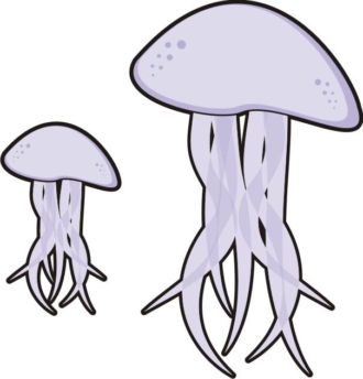 Medusas (ilustración)