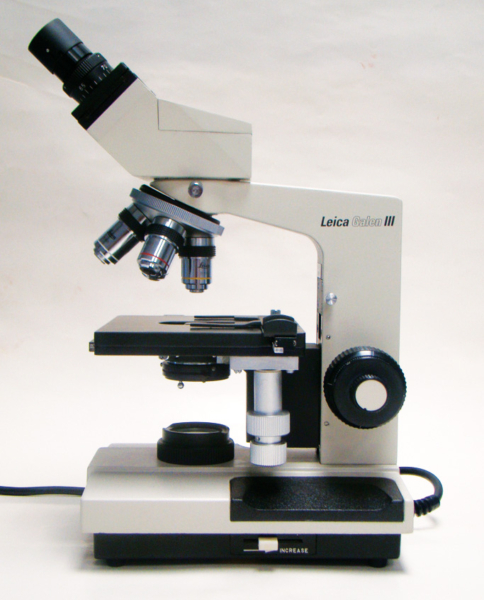Microscopio óptico