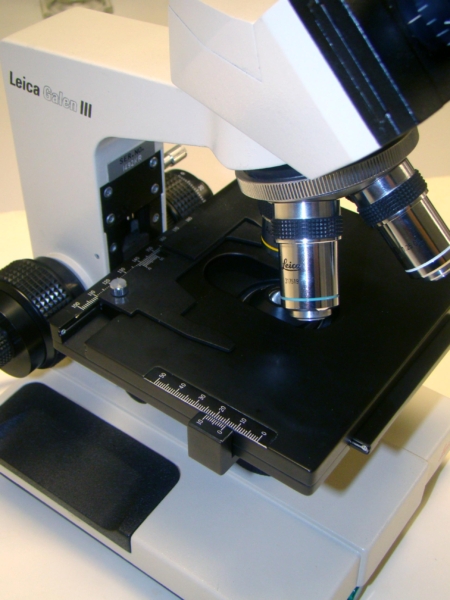 Microscopio óptico