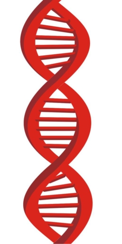 Cadena de ADN (ilustración)