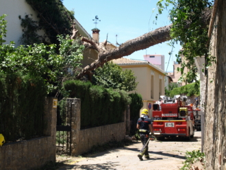 Intervención del Cuerpo de Bomberos