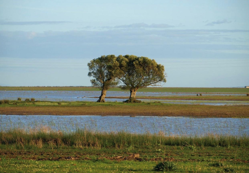 Paisaje de Doñana