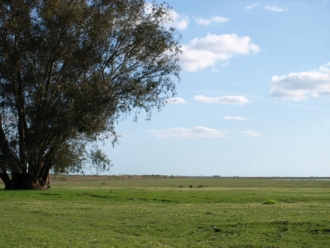 Paisaje de Doñana