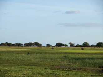 Paisaje de Doñana