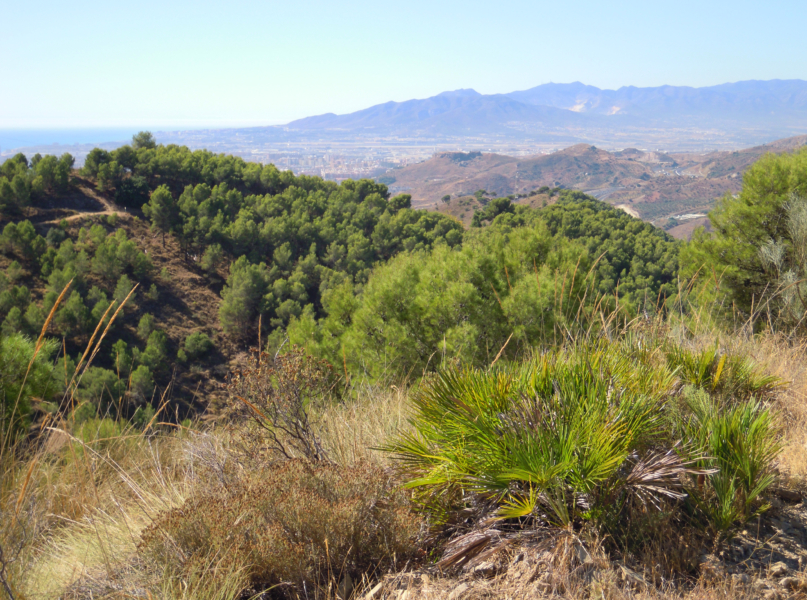 Parque Natural Montes de Málaga