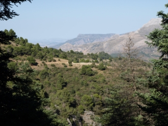 Parque Natural Sierra de las Nieves