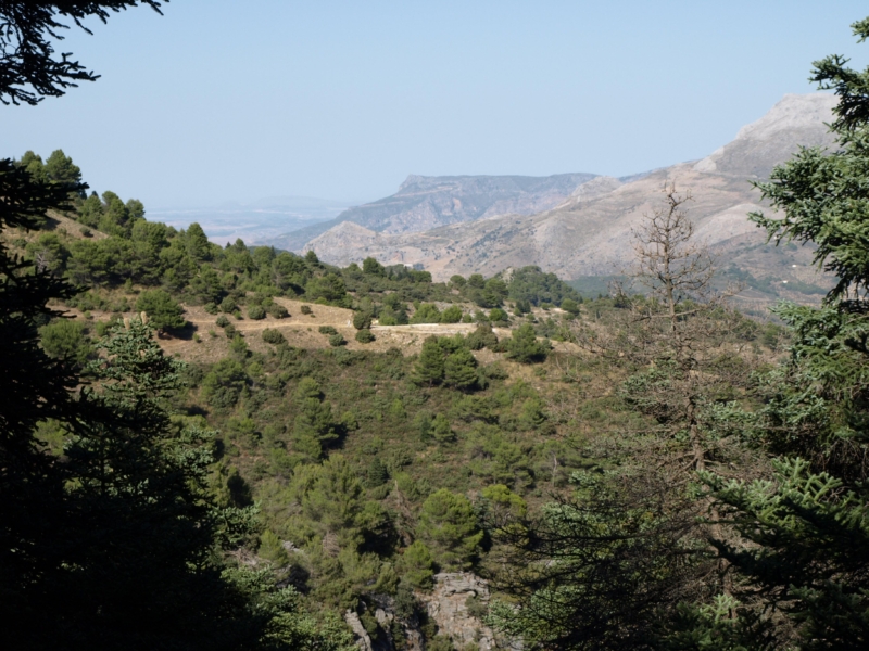 Parque Natural Sierra de las Nieves