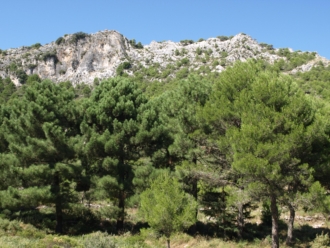 Parque Natural Sierra de las Nieves