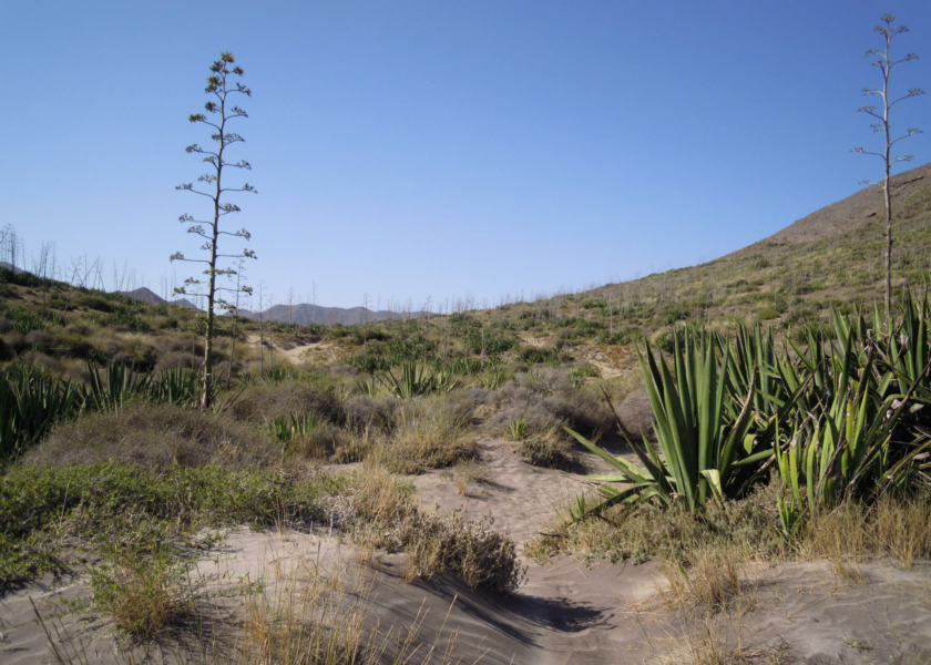 Parque Natural de Cabo de Gata-Níjar