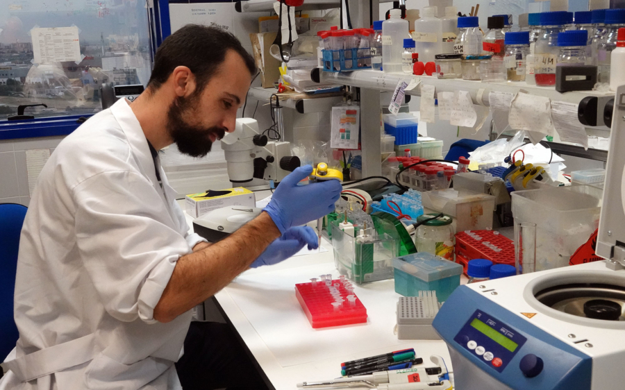 Jorge El-Azaz, en el laboratorio del grupo de investigación de Biología Molecular y Biotecnología. /UMA