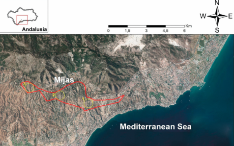 Investigadores de la UMA analizan la singularidad fitobiológica de la Sierra de Mijas