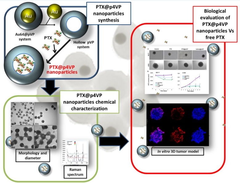 Científicos emplean por primera vez microgeles desarrollados sobre oro esférico para mejorar el tratamiento de cáncer de mama