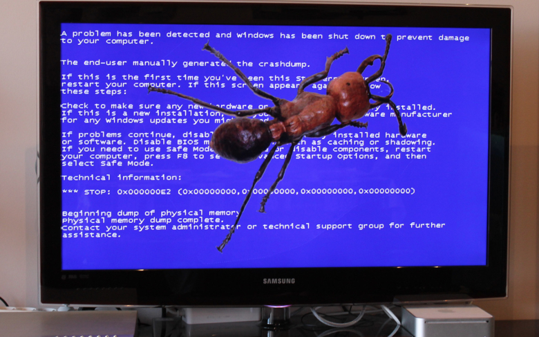 La hormiga, aliada del software