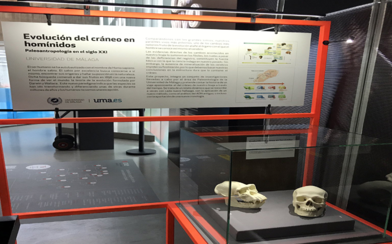 Arranca la participación de la UMA en la exposición 'Campus Vivo. Investigar en la Universidad'