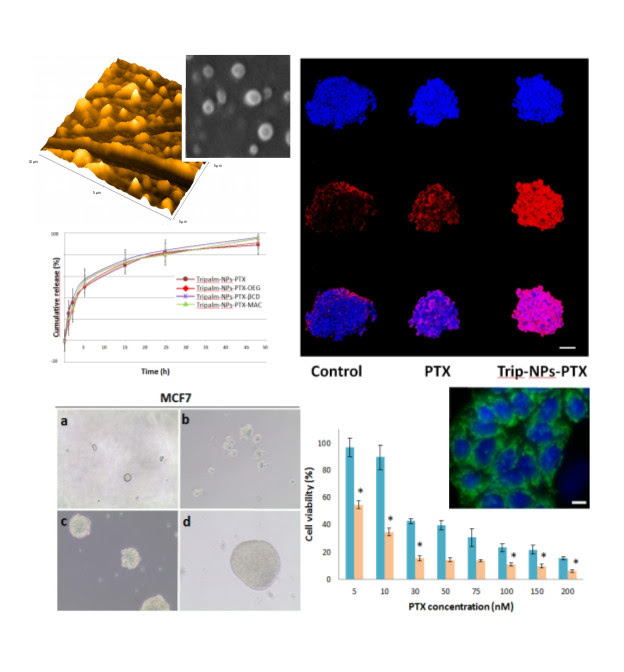 Utilizan fármacos unidos a nanopartículas para destruir células madre tumorales causantes de la recaída del cáncer de mama