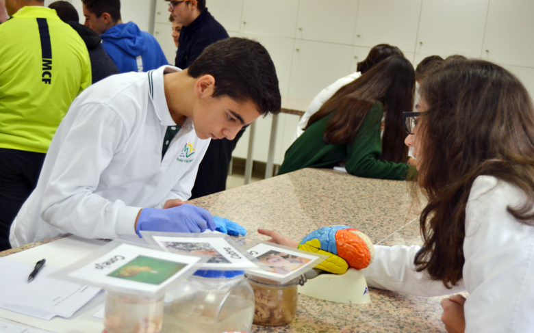 Los talleres 'Explorando el cuerpo humano' abren la Semana de la Ciencia en la Universidad de Málaga'
