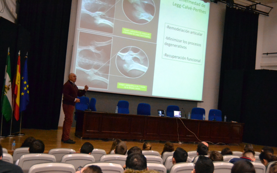 La UMA celebra el UniStem Day con microconferencias y juegos para acercar la terapia celular a los estudiantes