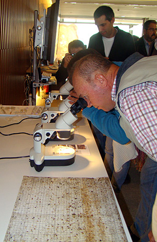 Las abejas y su miel visitan el Parque de las Ciencias