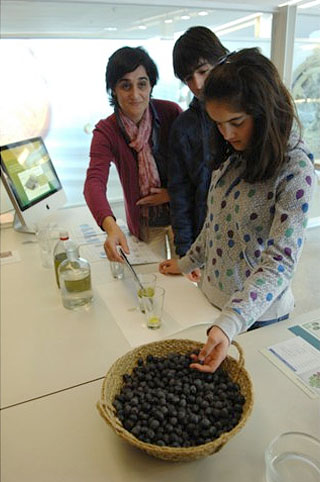 Los beneficios del aceite de oliva abren la nueva 'Ventana a la Ciencia'