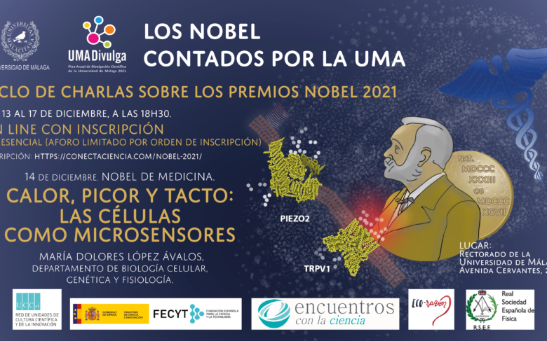 Calor, picor y tacto: las células como microsensores