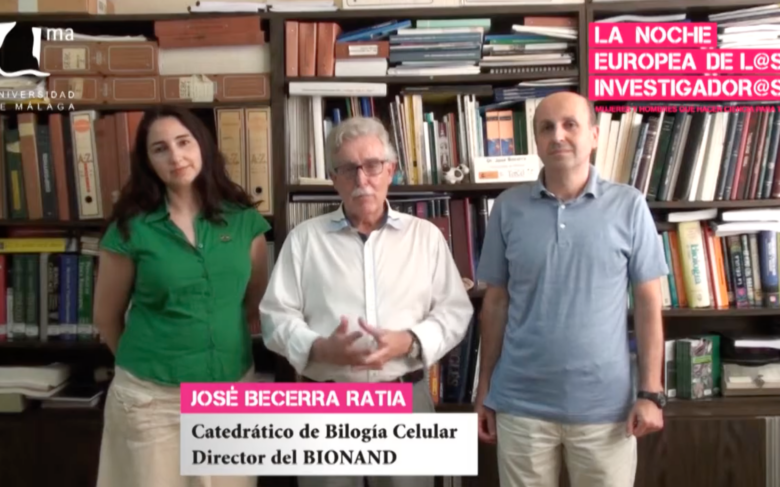 'Madres, células y viceversa' en la Noche Europea de los Investigadores de Málaga 2016 | Málaga