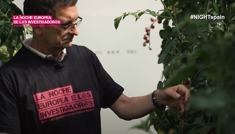 Del campo a la mesa: la ciencia del tomate y el melón