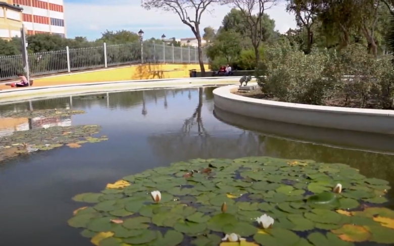 Jardín Botánico de la Universidad de Málaga. Un paraíso tropical en el campus