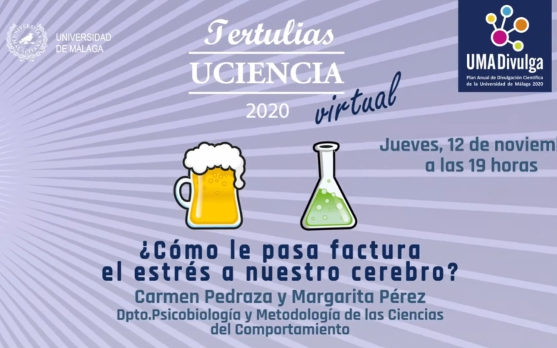 ¿Cómo le pasa factura el estrés al nuestro cerebro?