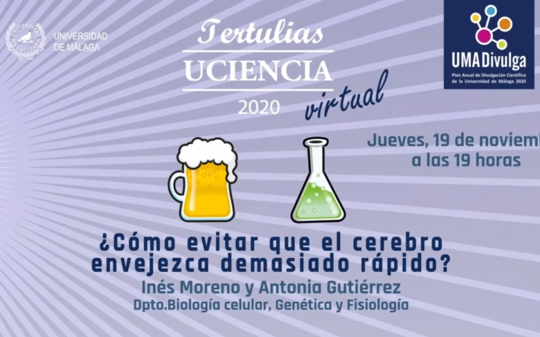 ¿Cómo evitar que el cerebro envejezca demasiado rápido?