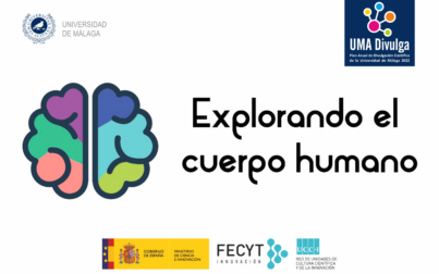 Explorando el cuerpo humano 2024 l 5 abril