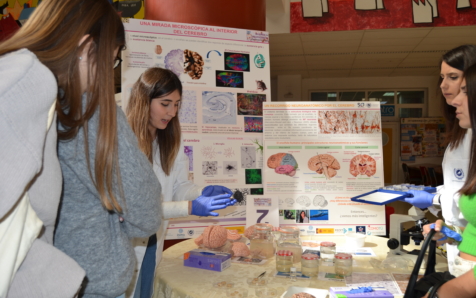 Las investigadoras de la UMA toman la palabra en la jornada ‘Mujeres en neurociencia’