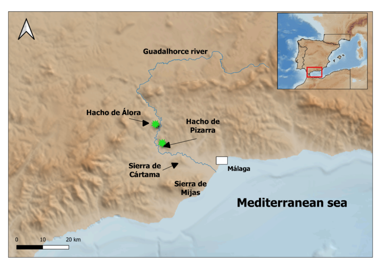 Investigadores de la UMA descubren una nueva especie vegetal en la provincia de Málaga