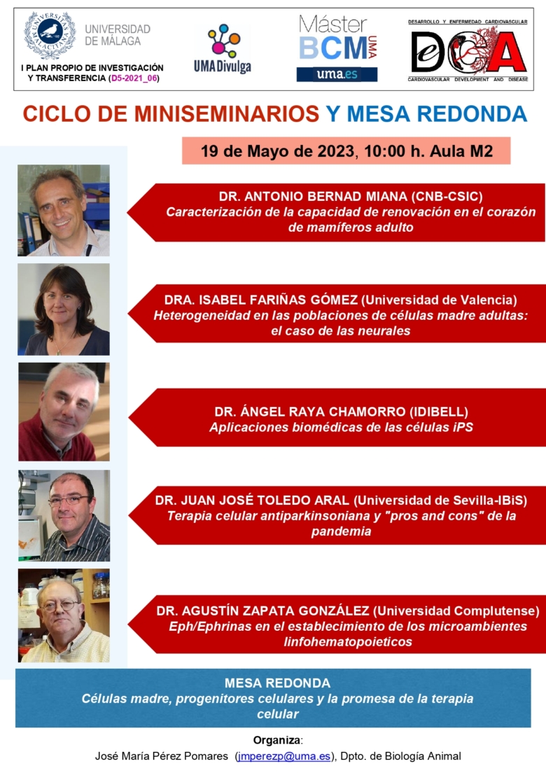 Presente y futuro de la terapia celular en la biomedicina española.