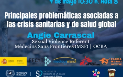 Principales problemáticas asociadas a las crisis sanitaria y de salud global