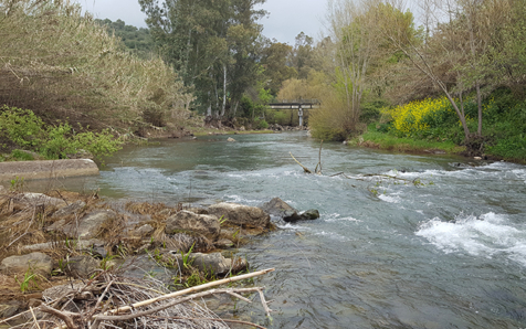 Legislación ambiental de la Unión Europea: la importancia de caracterizar los contaminantes emergentes