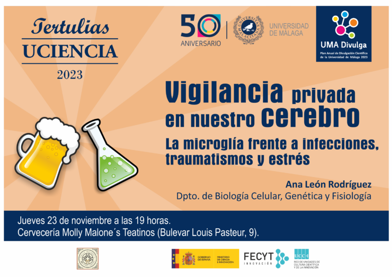 Vigilancia privada en nuestro cerebro: cómo nos protegen las células de la microglía de infecciones, traumatismos y estrés