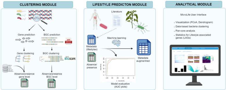 BacLIFE, cuando las predicciones bioinformáticas y la microbiología cruzan sus caminos