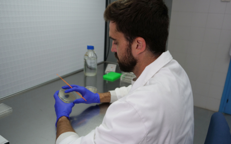 Rescate evolutivo: la solución de las comunidades microbianas para sobrevivir al estrés ambiental es la autosuficiencia