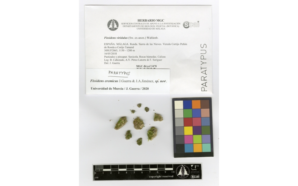 Pliego del Herbario MGC (Universidad de Málaga)