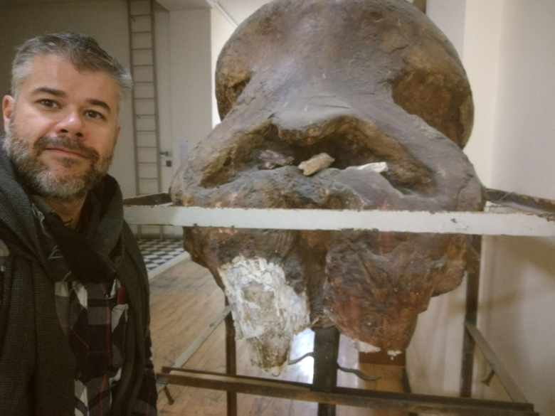 Revelan abundantes restos de mamuts en el yacimiento de Dmanisi, el más antiguo de Eurasia con restos humanos