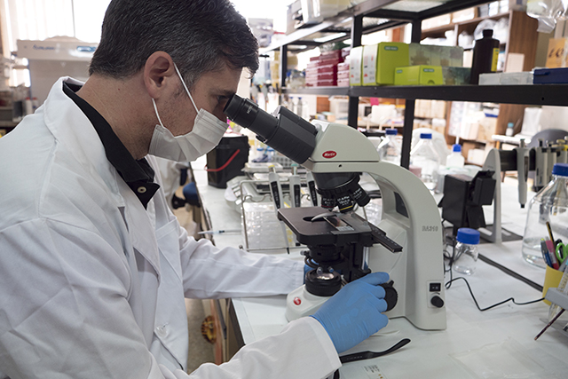 Hacia una mejor comprensión de los mecanismos responsables del avance del alzhéimer en el cerebro