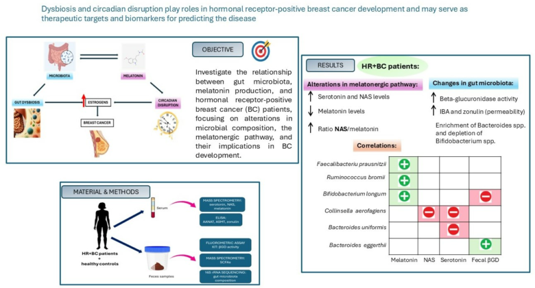 Analizan la conexión entre microbiota y melatonina en mujeres con cáncer de mama de tipo hormonal