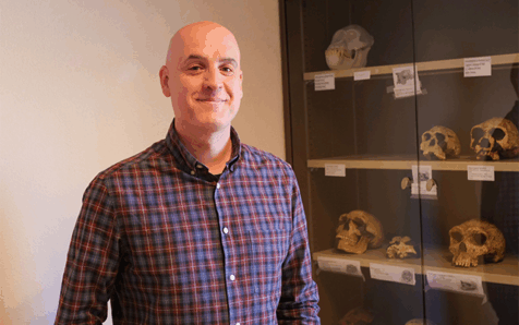 La llegada de la agricultura y la ganadería cambió los patrones de salud en poblaciones de Europa y Asia a partir del Neolítico