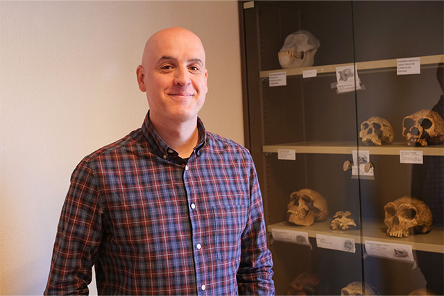 La llegada de la agricultura y la ganadería cambió los patrones de salud en poblaciones de Europa y Asia a partir del Neolítico